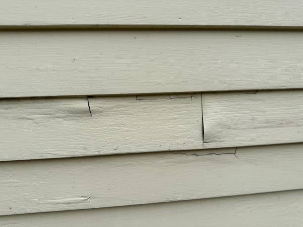 Storm Damage Siding Repair in East Northport, NY